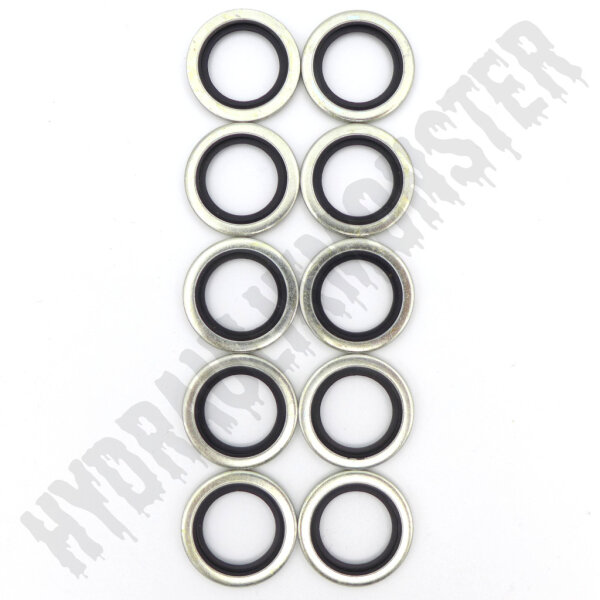 10x USIT Dichtring G1/2"
