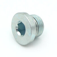 Hydraulik  Verschlussschraube zöllig VSTI G3/8"